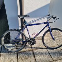 Bici Mountain Bike Bottecchia