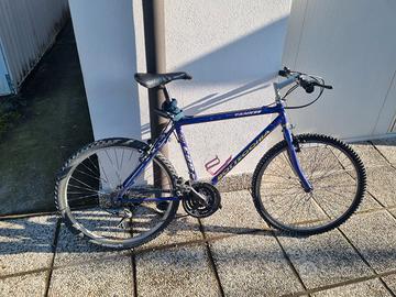 Bici Mountain Bike Bottecchia