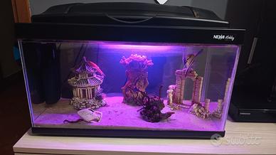 Acquario completo 