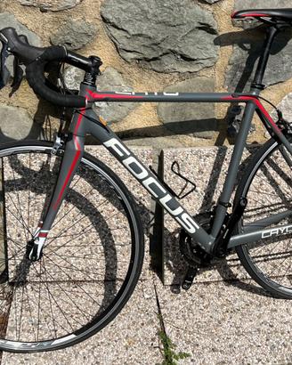 Focus Cayo bici da corsa M