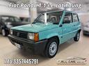 fiat-panda-1100-i-e-cat-young-40-kw