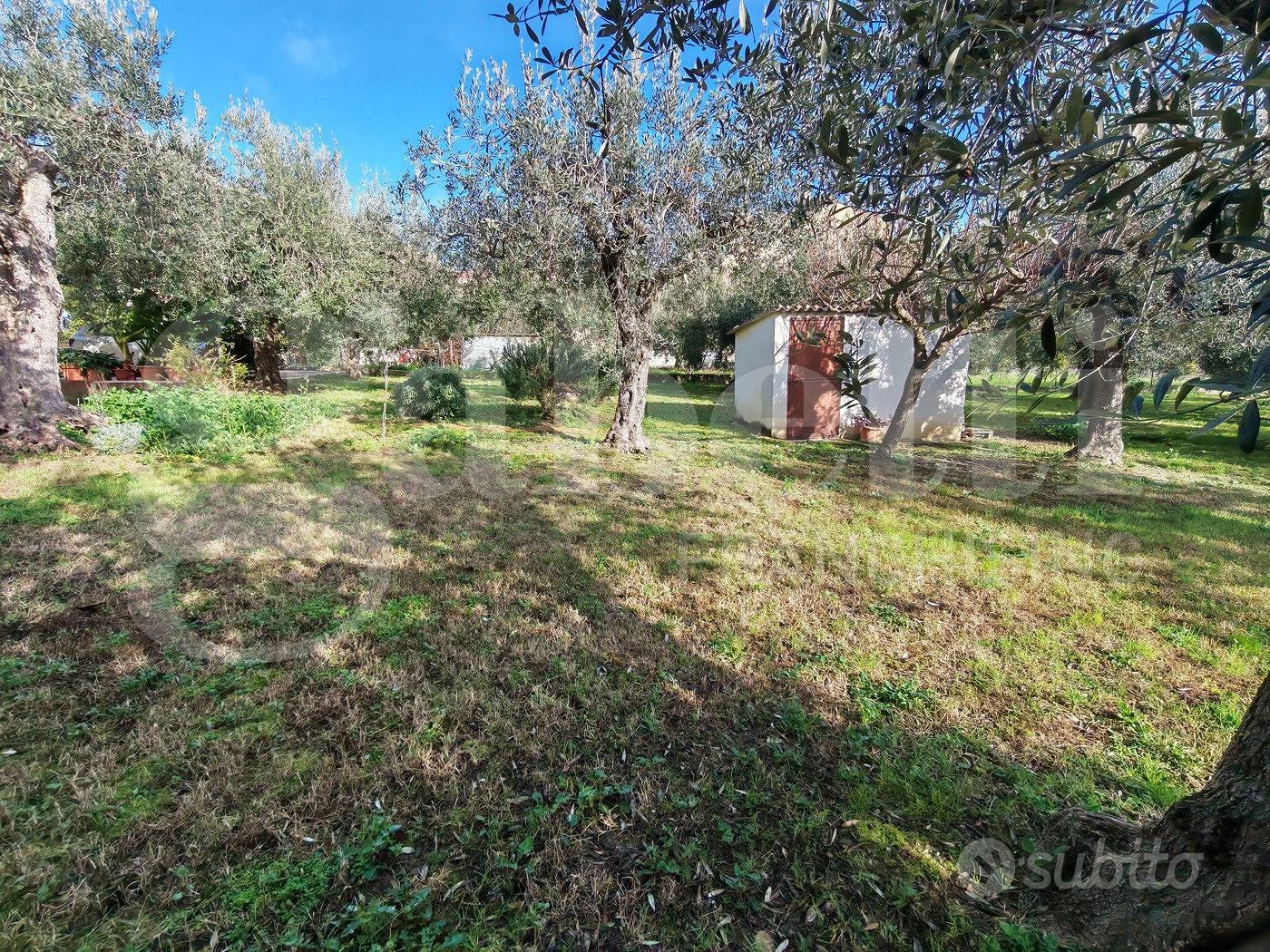 Terreno Residenziale Vasto [IM202593VRG] - Vista 2