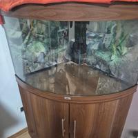 Acquario Angolare JUWEL TRIGON 190 LED + Mobile -
