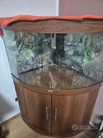 Acquario Angolare JUWEL TRIGON 190 LED + Mobile -