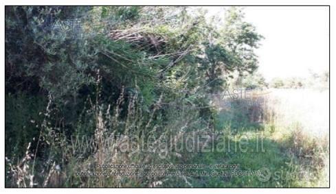 Terreno Agricolo Nepi [A4340397] - Vista 4