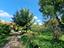 Immagine 20