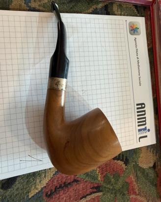 Pipa Tommaso Spanu