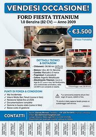 Ford Fiesta 2009