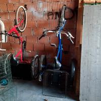 triciclo 