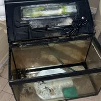 Acquario 60 lt