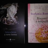 Stefania Bertola - a neve ferma