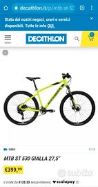 Mountain Bike