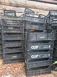 cassette in plastica per frutta e verdura 