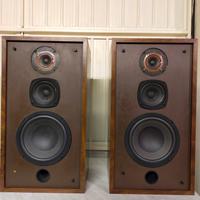 casse acustiche Bolivar Model 18