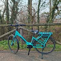 Bicicletta a pedalata assistita