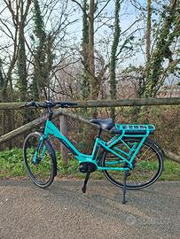 Bicicletta a pedalata assistita