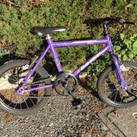 Bicicletta bambino/a