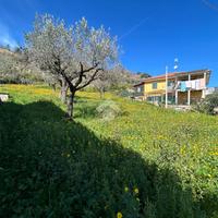 CASA SEMINDIPENDENTE A LAMEZIA TERME