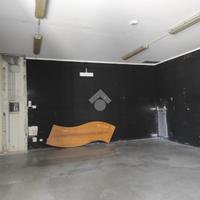 CAPANNONE A SAVIGNANO SUL RUBICONE