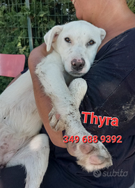 Olaf,Erika,Astrid,Thyra