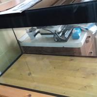 Acquario/Terrario in Vetro (80x40x51h cm) 