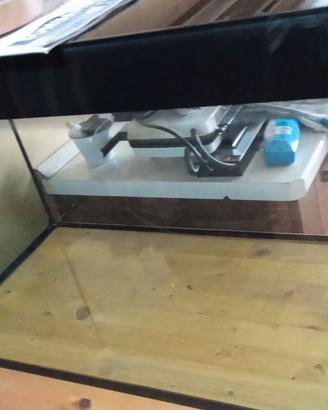 Acquario/Terrario in Vetro (80x40x51h cm) 