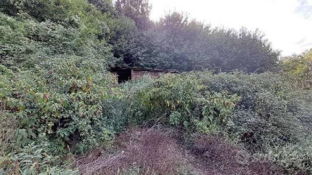 Immobile in asta di 403360 m² a Cittanova - Vista 4