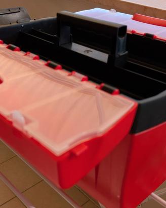Cassetta per attrezzi professionale portatile