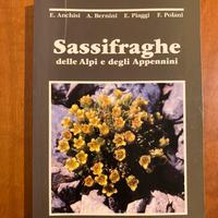 Libro Sassifraghe