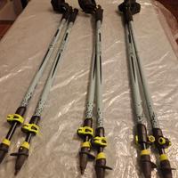Bastoncini Nordic Walking