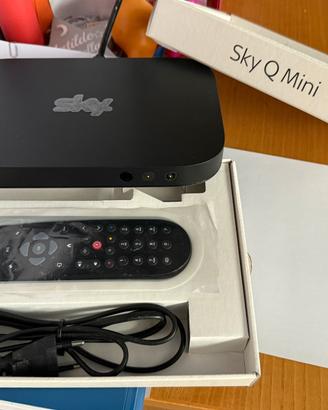 Sky q mini