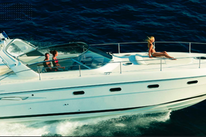 Fiart 42 Genius - 2010