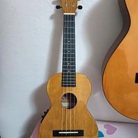 Ukulele Amplificabile