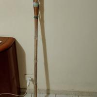 Canna di bambù per ficodindia 