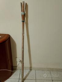 Canna di bambù per ficodindia 