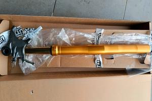 FORCELLA DUCATI PAGALE V4 S