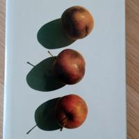 Libro Non vi lascerò orfani