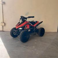 mini quad
