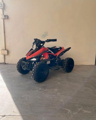 mini quad