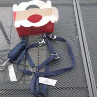 NUOVA!!! Capezza e longhina da 2 mt marca QHP