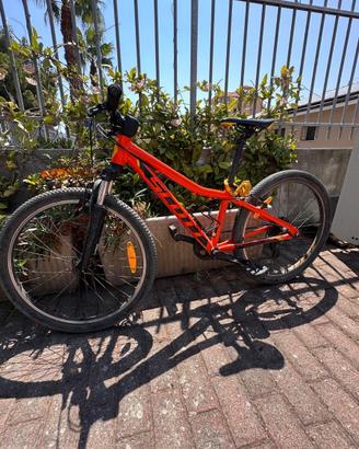 Mtb Scott taglia 24