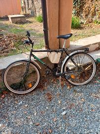 Bicicletta da trekking