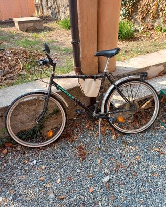 Bicicletta da trekking