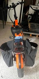 bicicletta elettrica 