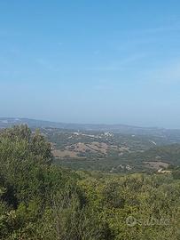Stazzu Gallurese 89 ettari Vista Panoramica
