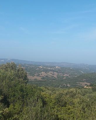 Stazzu Gallurese 89 ettari Vista Panoramica
