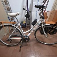 Graziella TL. 26