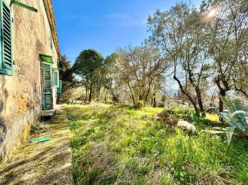 CASA INDIPENDENTE A CAPRAIA E LIMITE
