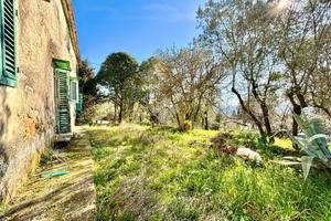 CASA INDIPENDENTE A CAPRAIA E LIMITE