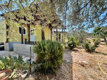 Terreno Con Casetta Li punti